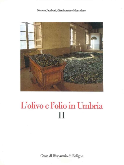 Cover  2: L'olivo e l'olio in Umbria : Nestore Jacoboni: L'olivo: passato, presente e futuro : Gianfrancesco Montedoro: L'olio vergine di oliva: un importante alimento fra leggenda e storia, realtà e prospettive
