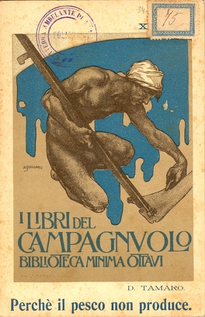 Cover  Perchè il pesco non produce