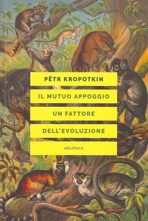 Copertina  Il mutuo appoggio : un fattore dell'evoluzione